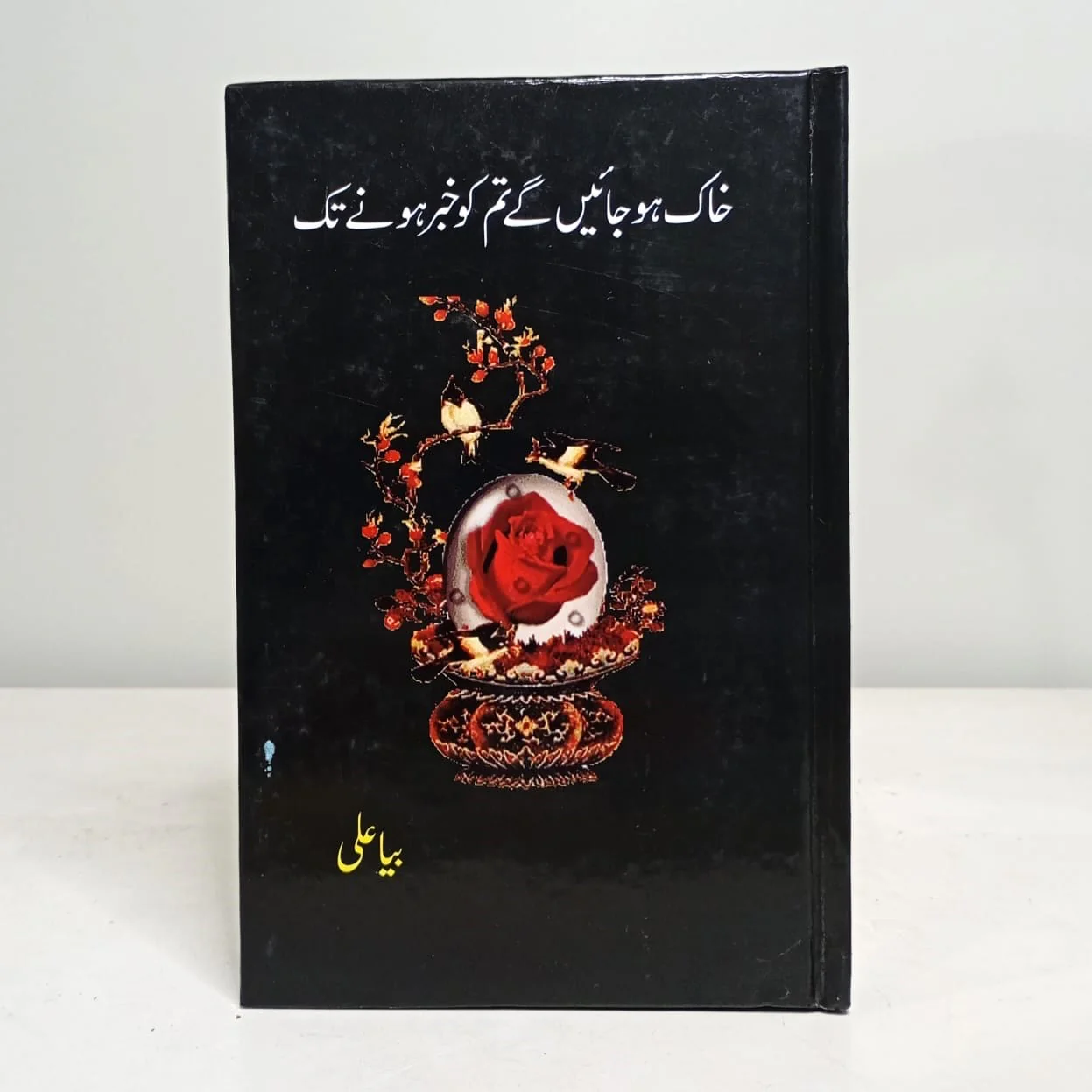 KHAQ-HO-JAYEIN-GAY-TUM-KO-KHABAR-HONAY-TAK