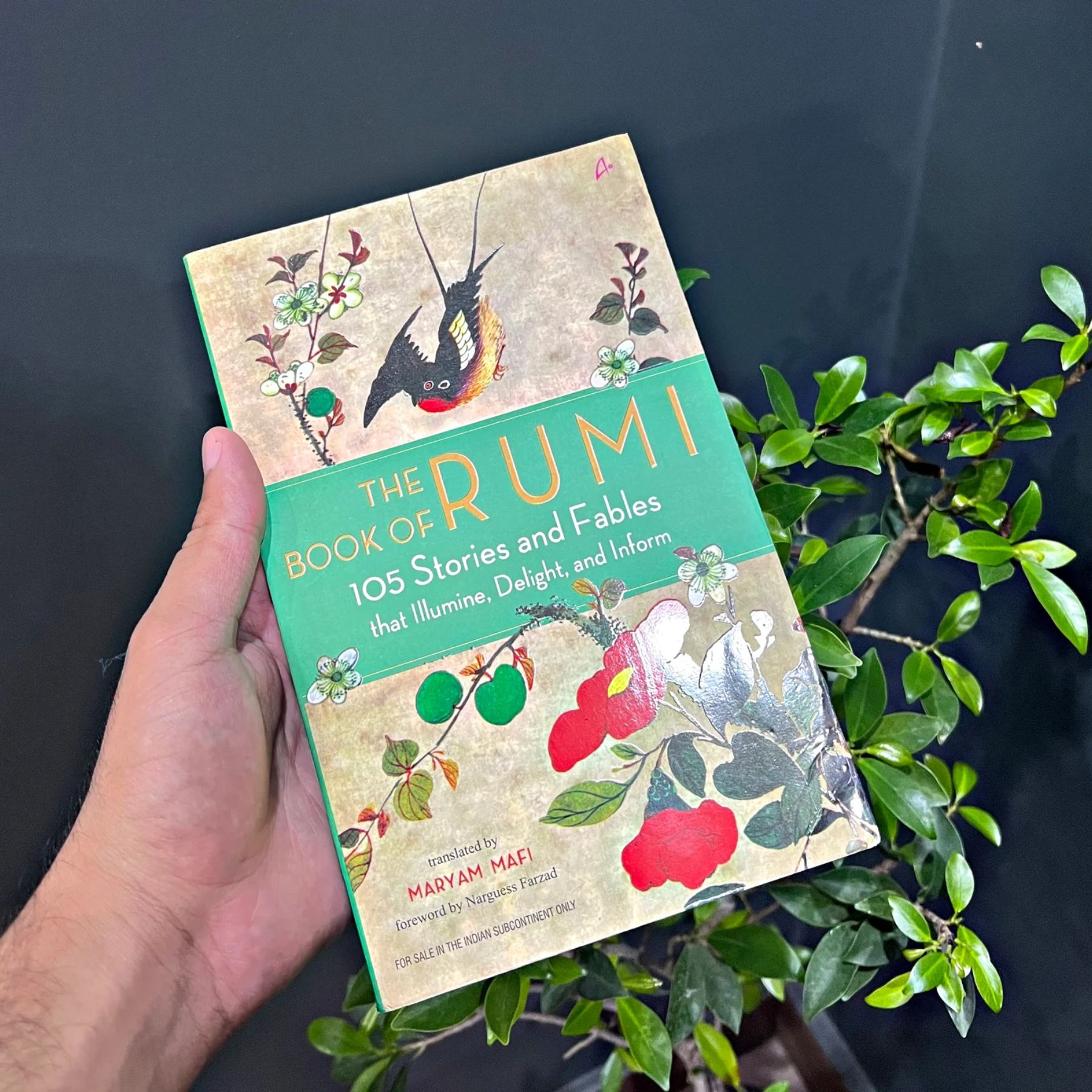 THE-BOOK-OF-RUMI-105-STORIES-AND-FABLES-THAT-ILLUMINE-DELIGHT-AND-INFORM (رومی-کی-کتاب-١٠٥-قصے-اور-حکایات-جو-روشن-کریں-محظوظ-کریں-اور-آگاہی-دیں)