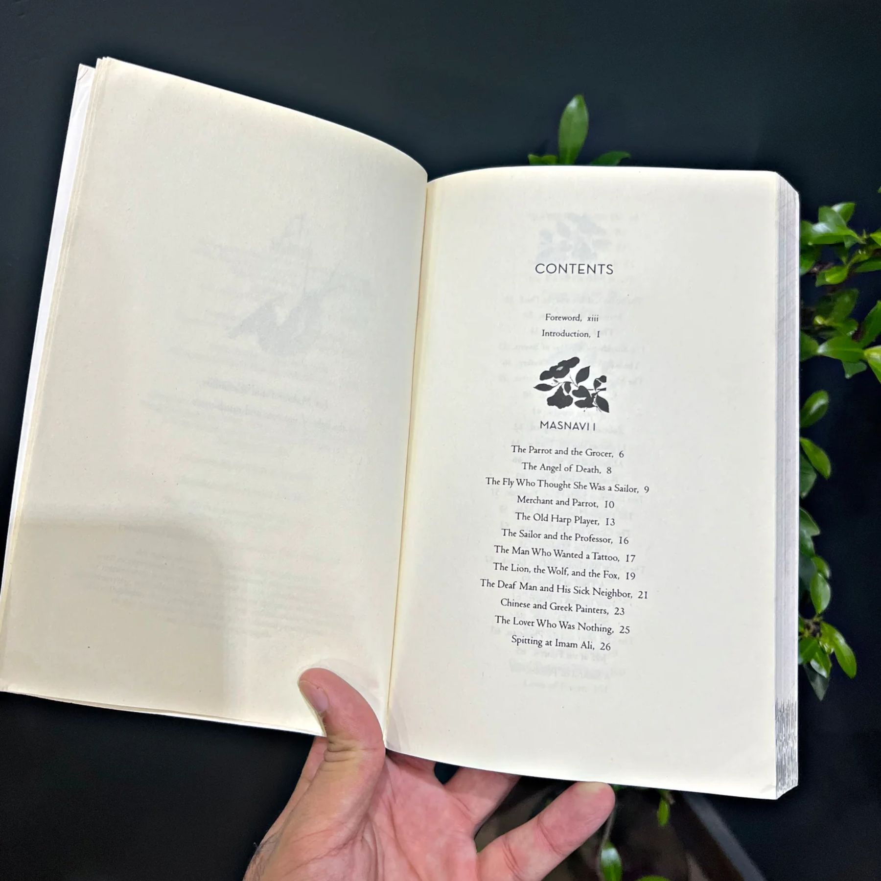 THE-BOOK-OF-RUMI-105-STORIES-AND-FABLES-THAT-ILLUMINE-DELIGHT-AND-INFORM (رومی-کی-کتاب-١٠٥-قصے-اور-حکایات-جو-روشن-کریں-محظوظ-کریں-اور-آگاہی-دیں) - Image 2