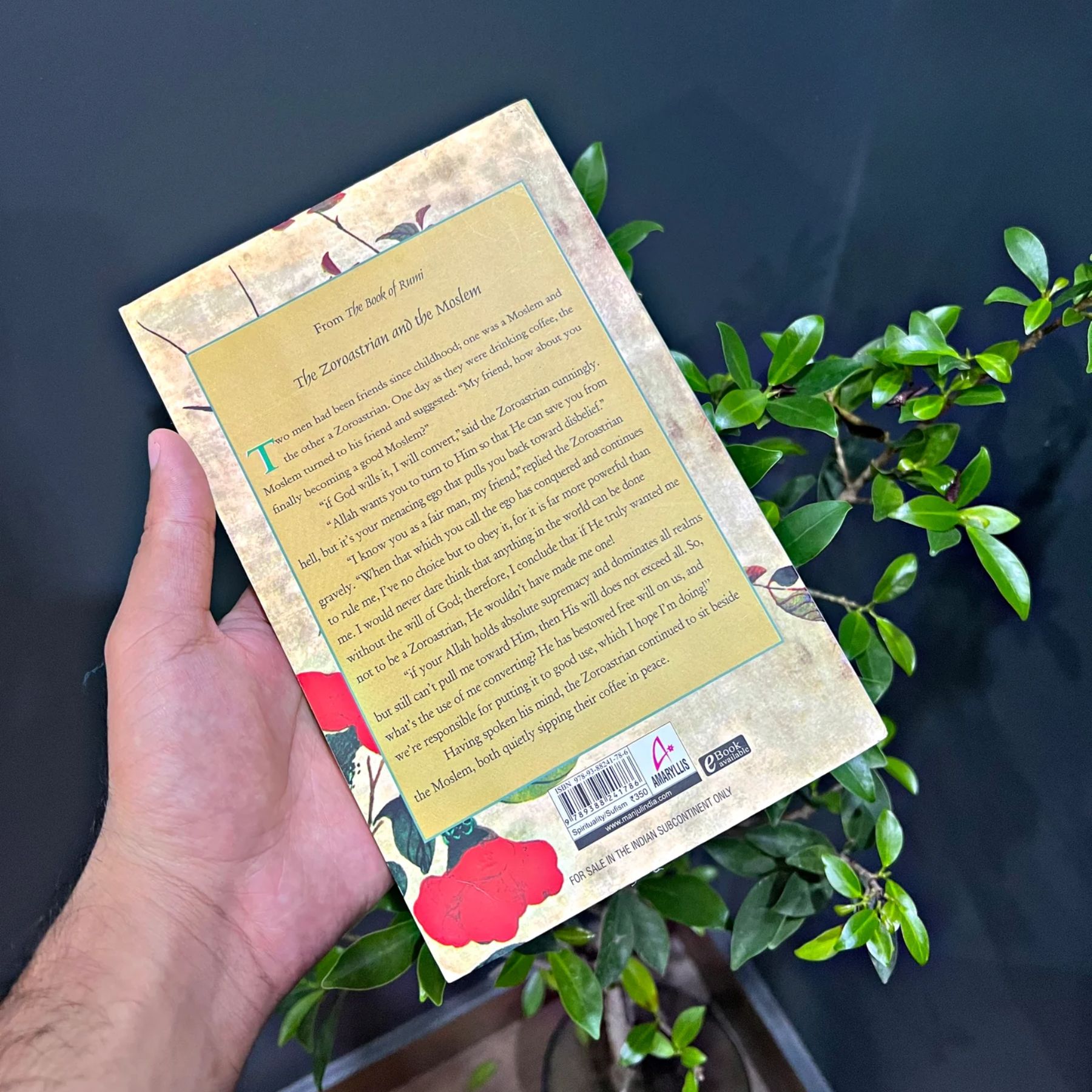 THE-BOOK-OF-RUMI-105-STORIES-AND-FABLES-THAT-ILLUMINE-DELIGHT-AND-INFORM (رومی-کی-کتاب-١٠٥-قصے-اور-حکایات-جو-روشن-کریں-محظوظ-کریں-اور-آگاہی-دیں) - Image 4