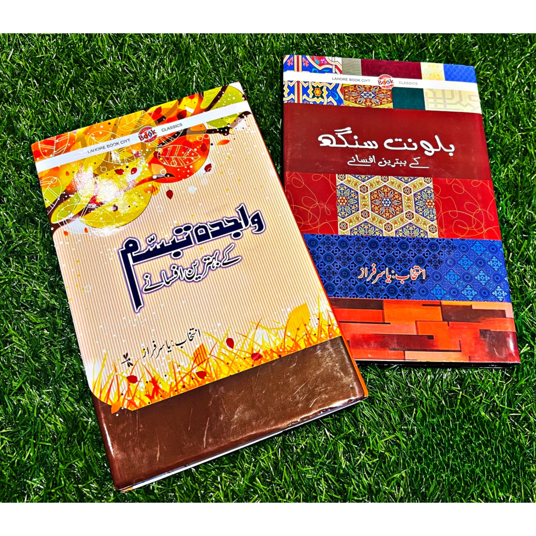 AFSANY (افسانے)