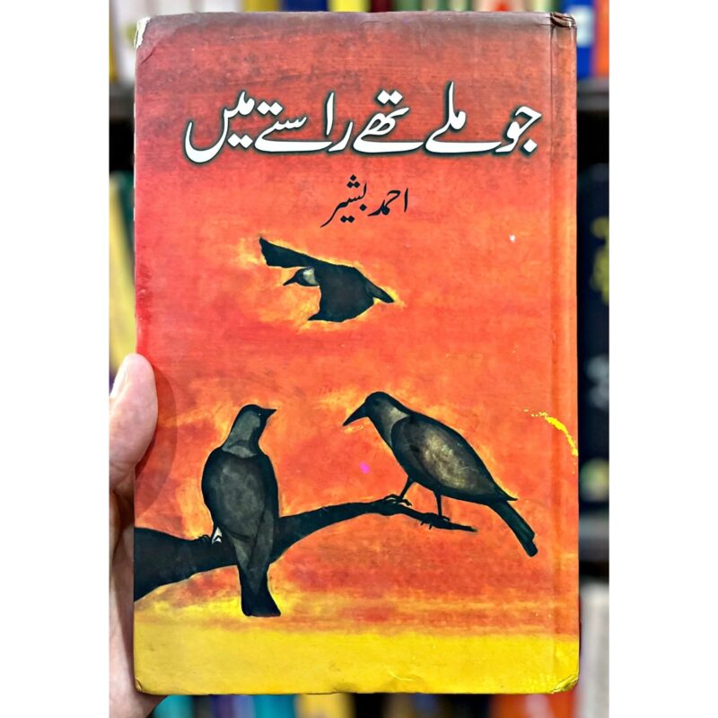 JO-MILE-THAE-RASTE-MEI (جو-ملے-تھے-راستے-میں)