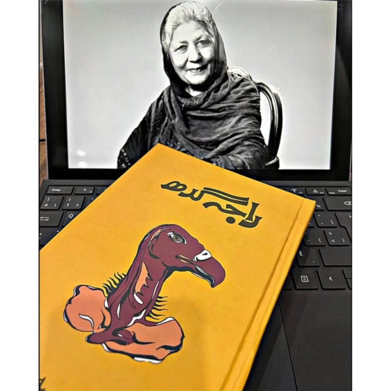 RAJA-GEDH (راجہ-گدھ)