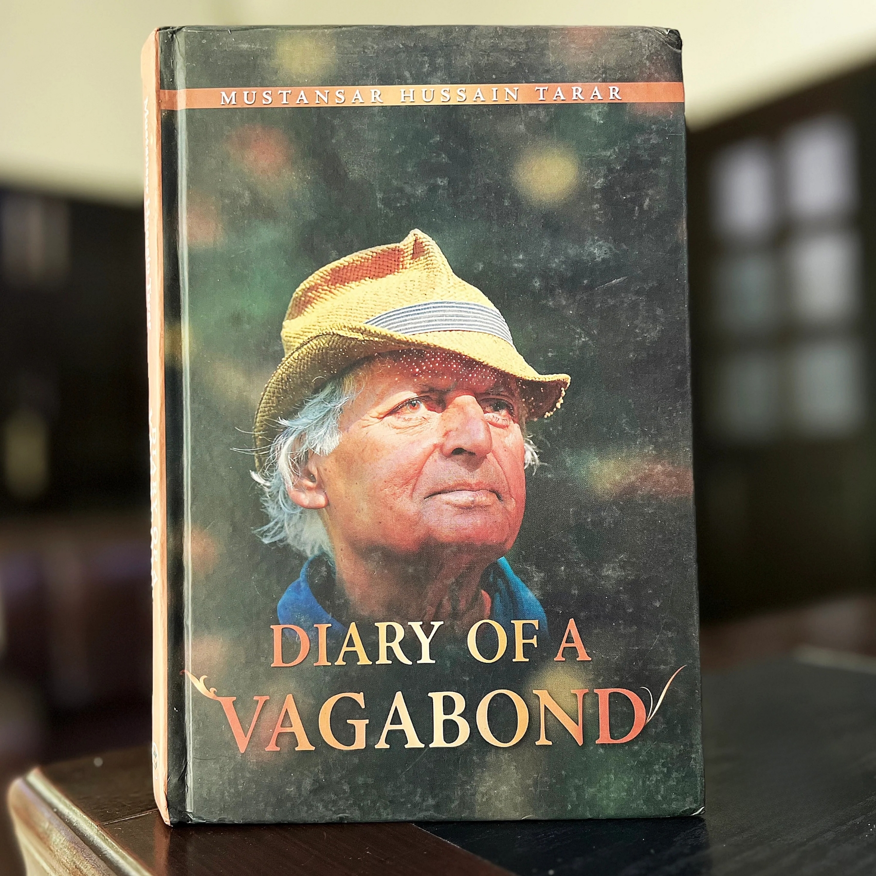 DIARY-OF-A-VAGABOND (ڈائری-آف-اے-ویگابانڈ)
