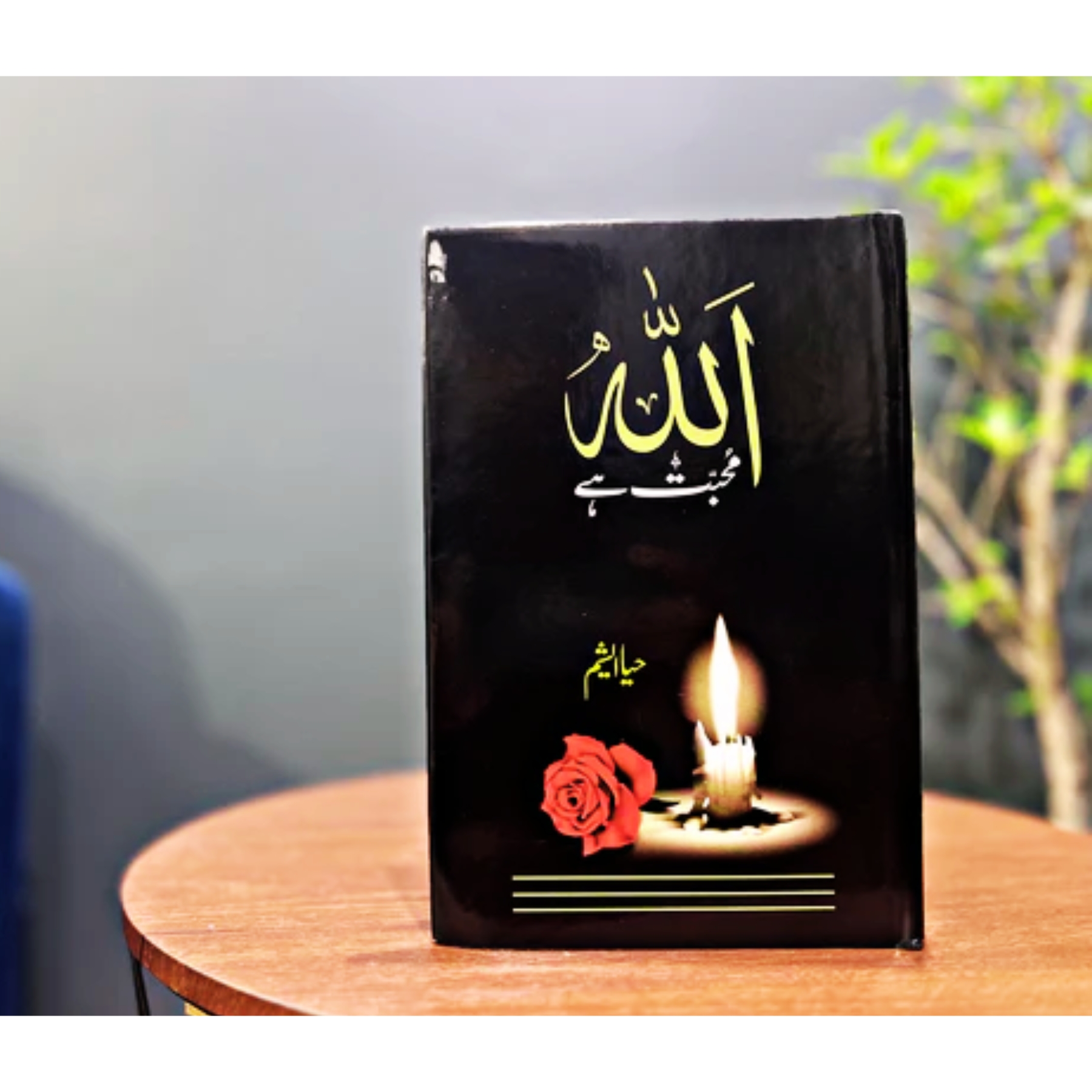 ALLAH-MUHHABBAT-HAI - اللہ-محبت-ہے - Image 2