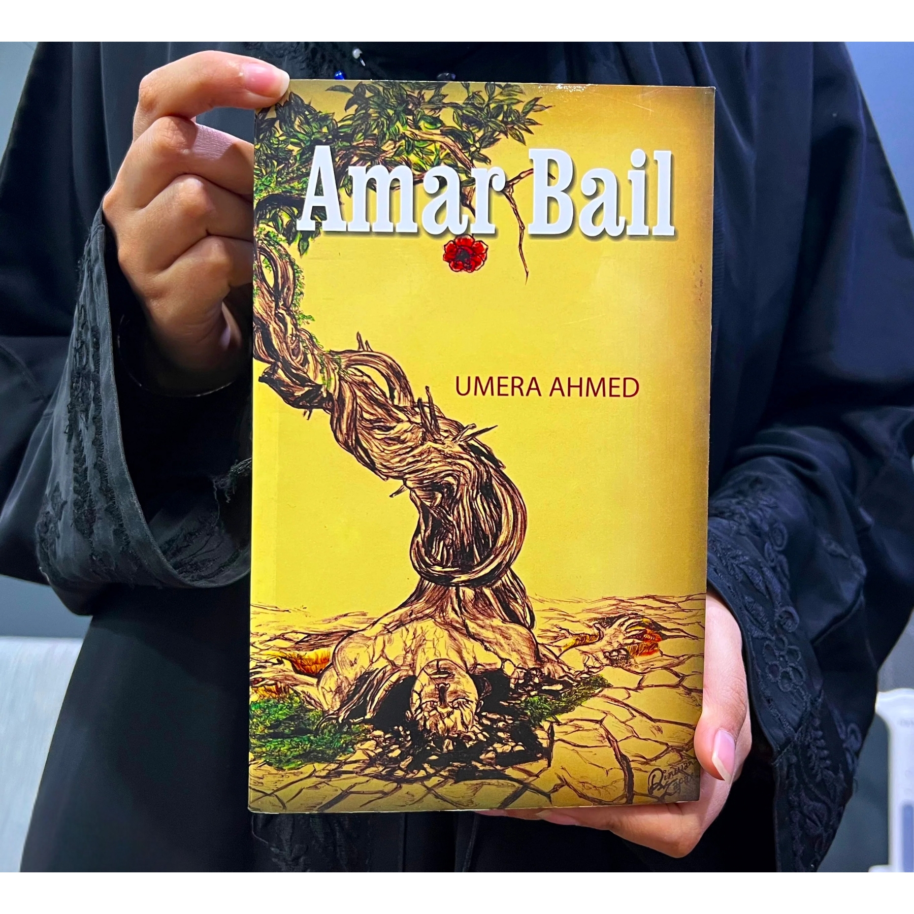 AMAR–BAIL–IN–ENGLISH — امربیل–(انگریزی میں)