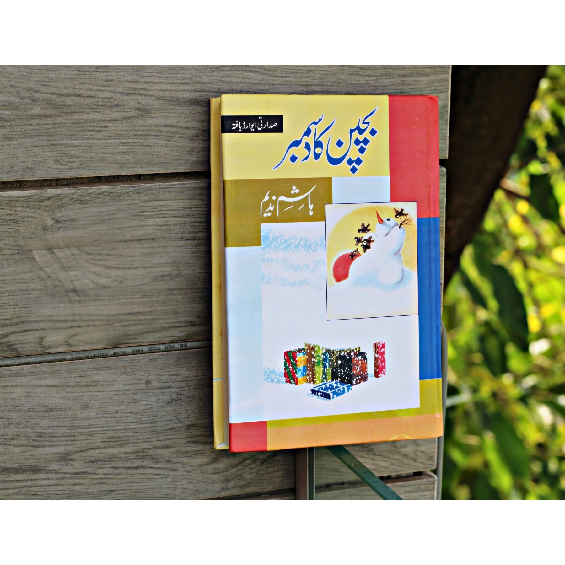 BACHPAN–KA–DECEMBER — بچپن–کا–دسمبر