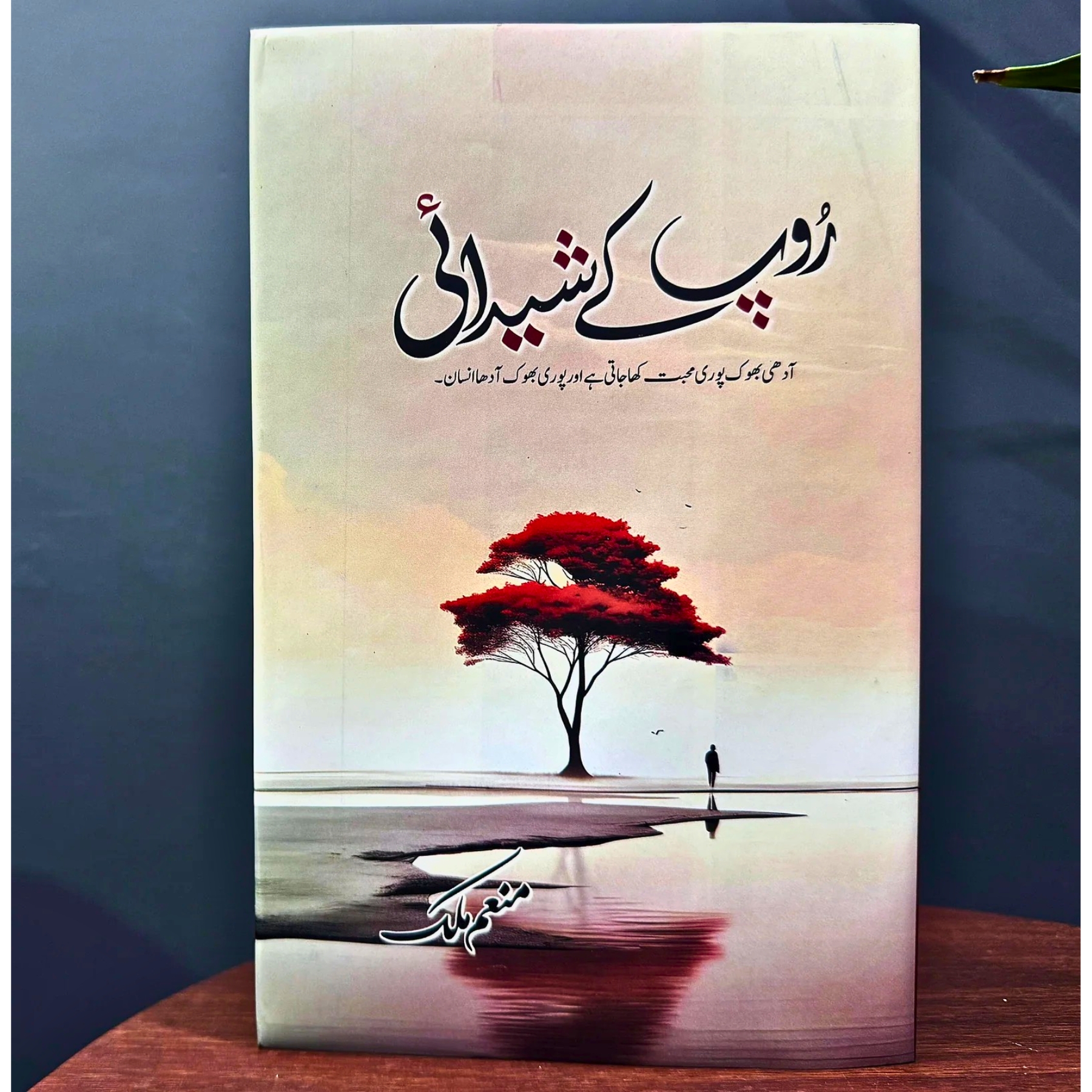 ROOP-KAY-SHEEDAI — روپ-کے-شیدائی