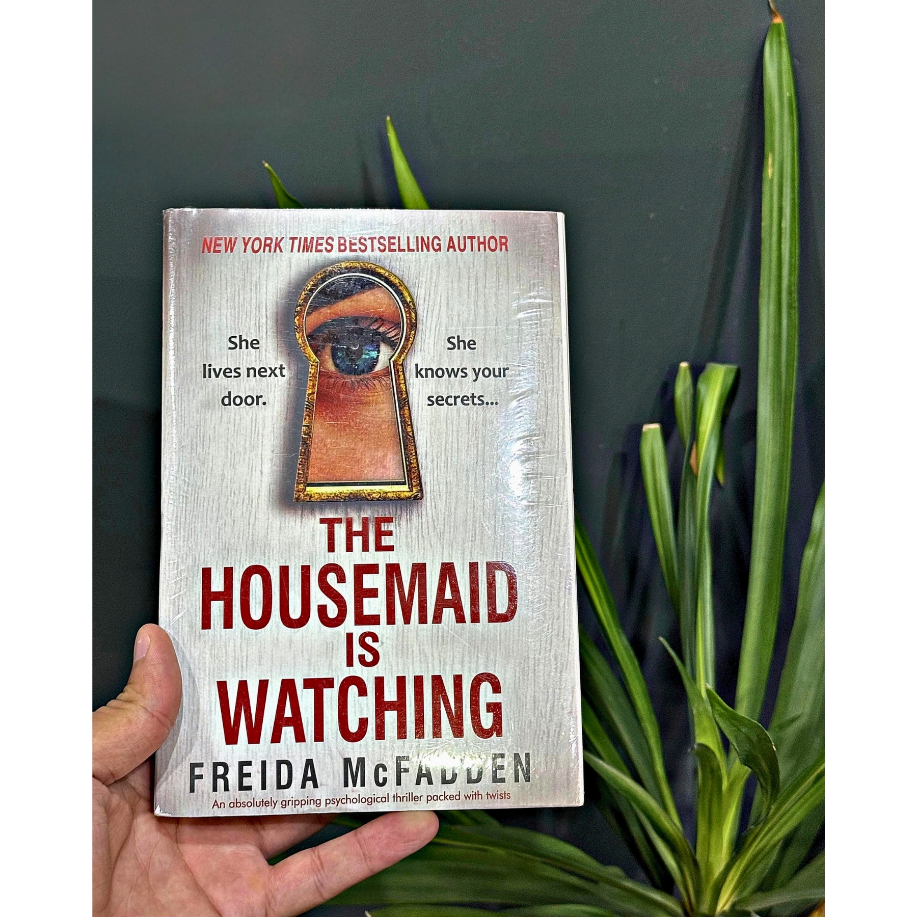THE-HOUSEMAID-IS-WATCHING